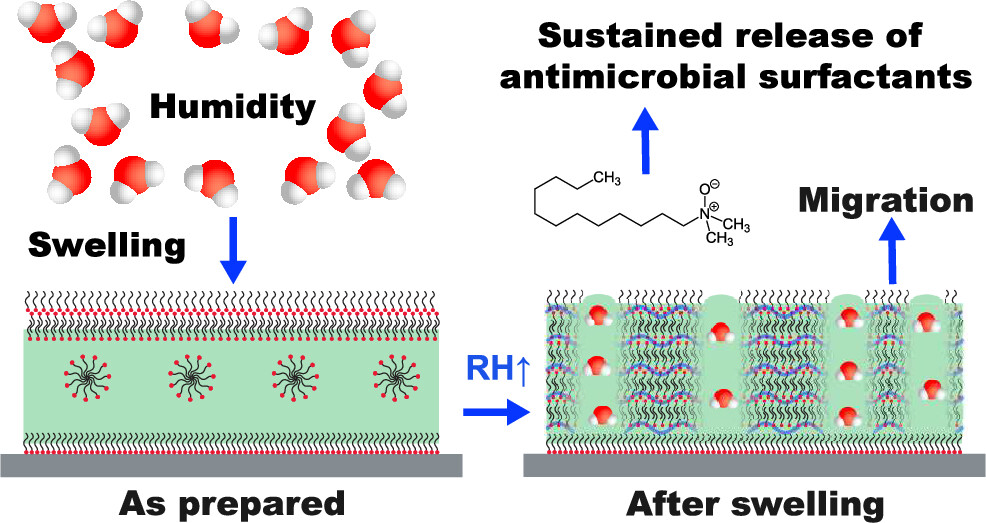 langmuir_humidity_induced_2025.jpeg